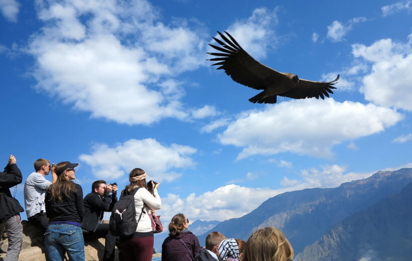 Tour al Cañon de Colca 2 Días y 1 Noche