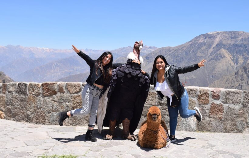 Tour al Cañon de Colca Full Day